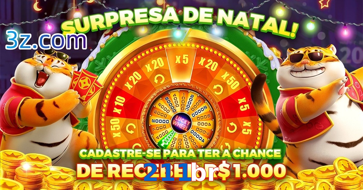 211br